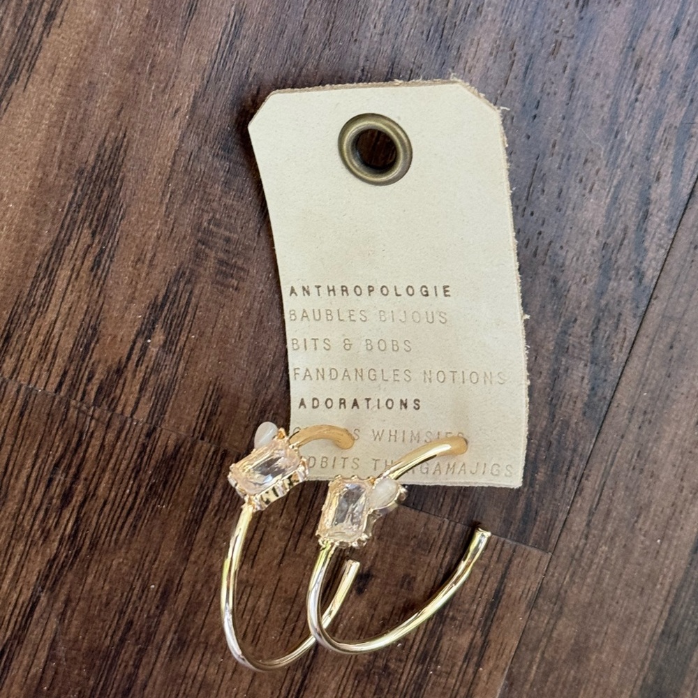Anthropologie double stone Gold Hoop Earrings - Picture 9 of 16